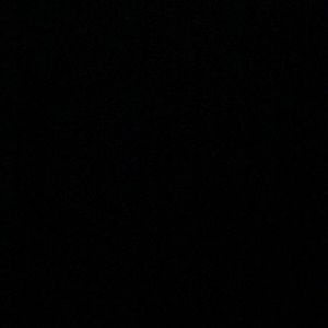 Meet your Posher, Mickey